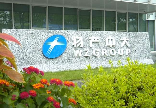 平臺實力